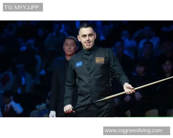 威尔森与霍尔帝的巅峰对决谁将赢得最终荣耀与胜利