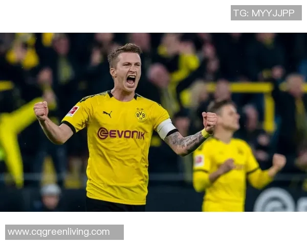 菲尔特与多特比赛前瞻及比分预测分析，谁将赢得这场较量