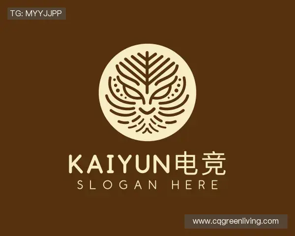 发现开云电竞